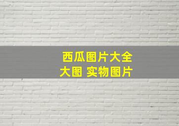 西瓜图片大全大图 实物图片